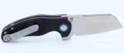 Couteau Kizer Mini Sheepdog C01C Lame Acier 154CM Manche G-10 KIV3488C1 - Livraison Gratuite